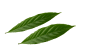 Loader leaf